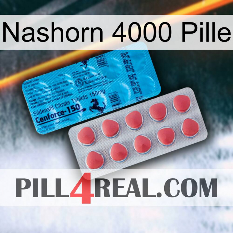 Rhino 4000 Pill new14